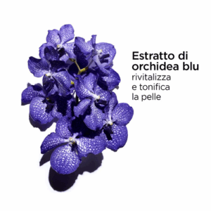 HUILE ORCHIDÉE BLEUE - immagine 5