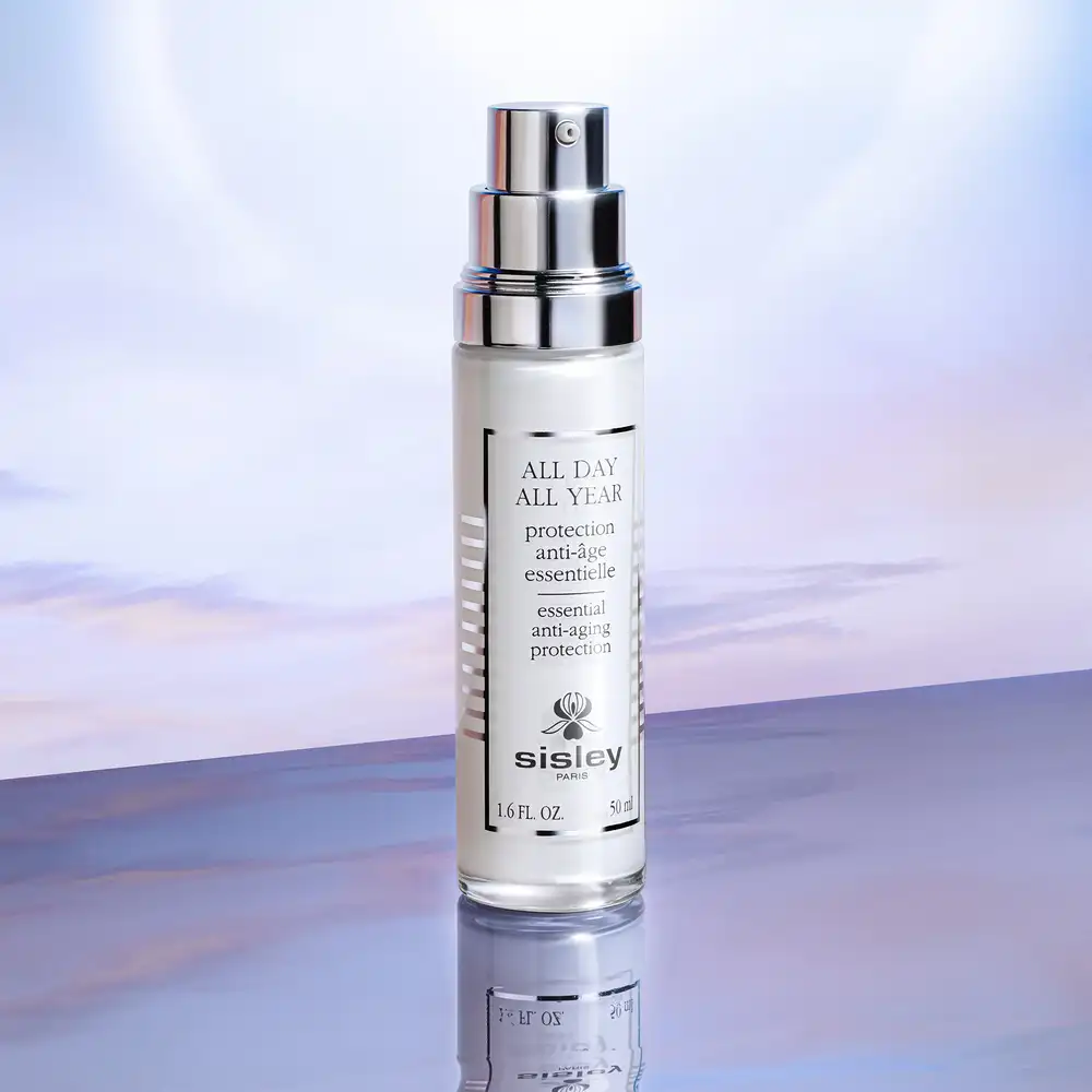 All Day All Year - immagine 5