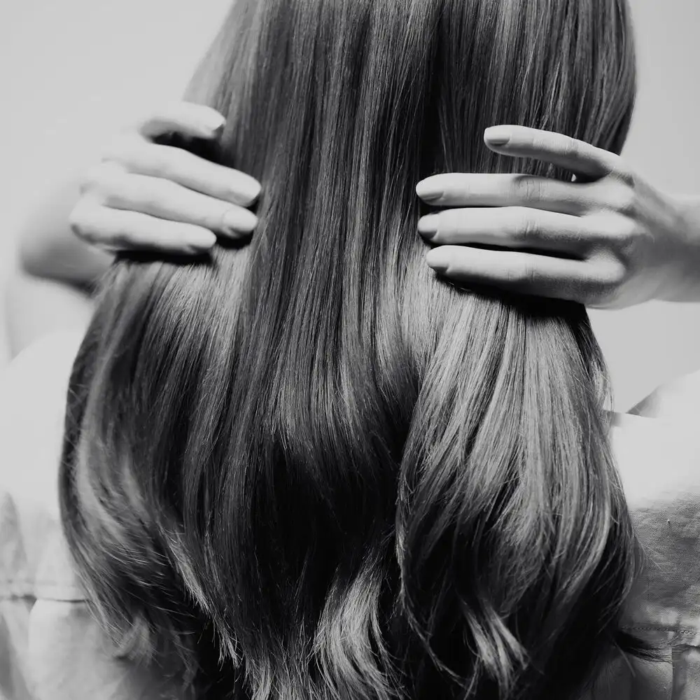 La Crème 230 - immagine 4