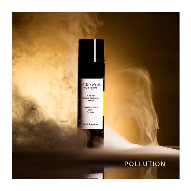 La Brume Bouclier Protection - immagine 2