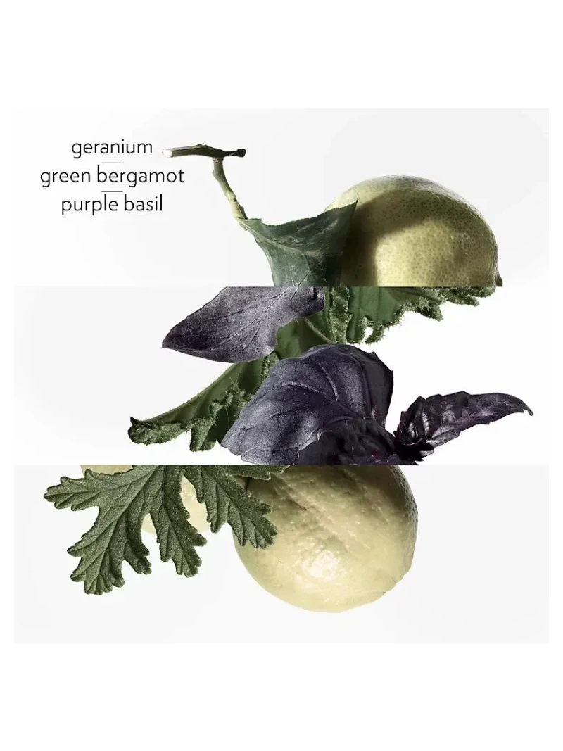 Eau de basilic pourpre Eau de cologne 100 ml - immagine 4