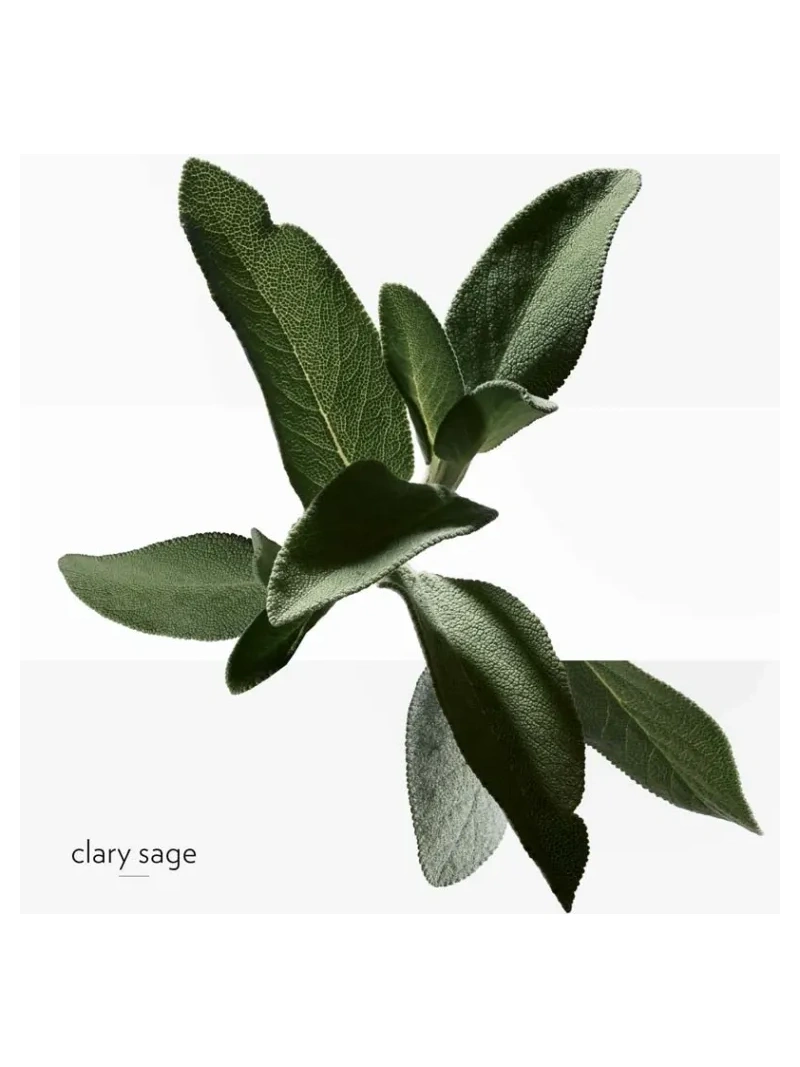 H24 Deodorant Stick 75ml - immagine 4