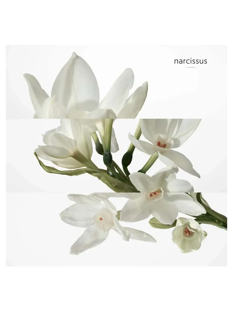 H24 Deodorant Stick 75ml - immagine 5