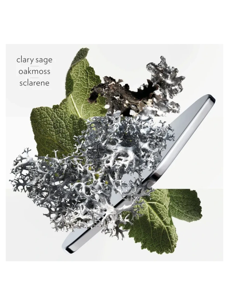 H24 Eau de parfum 100 ml - immagine 5