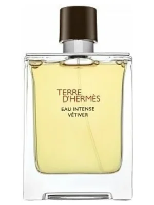 Terre d'Hermes Eau Intense Vetiver Eau de Parfum per uomo 100 ml