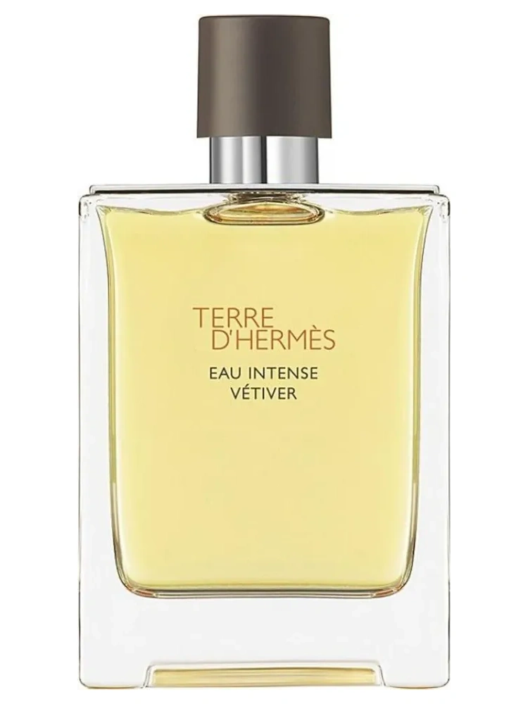 Terre d'Hermes Eau Intense Vetiver Eau de Parfum per uomo 100 ml - immagine 3