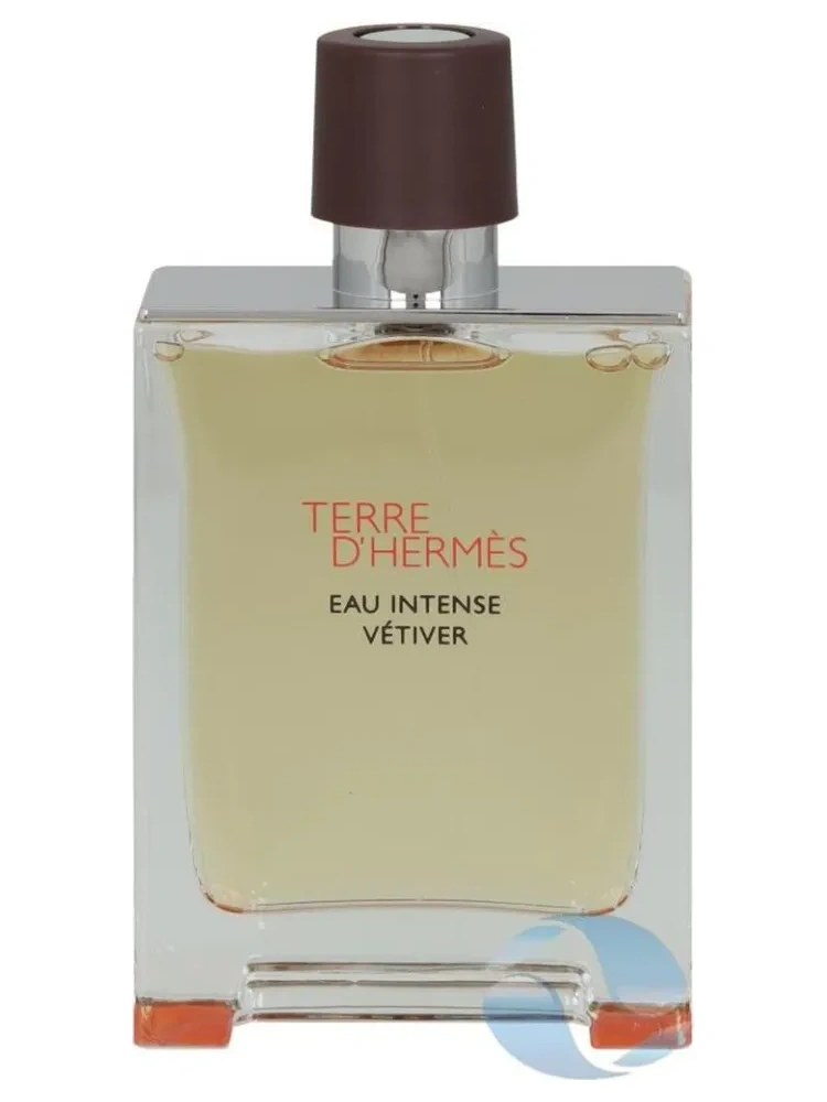 Terre d'Hermes Eau Intense Vetiver Eau de Parfum per uomo 100 ml - immagine 5