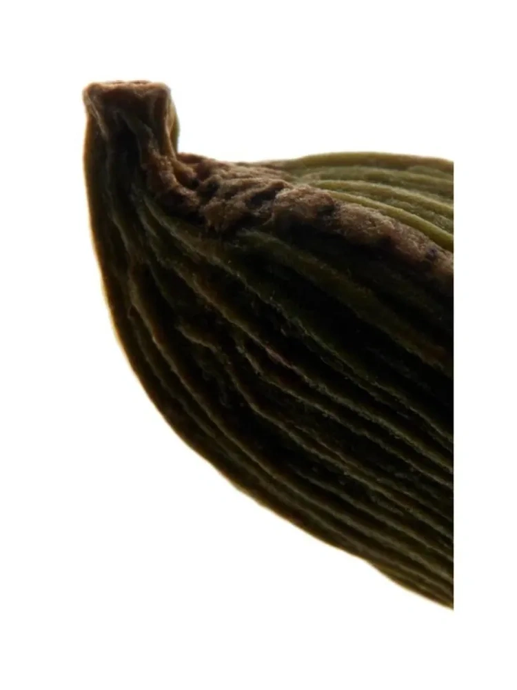 La Nuit De L'homme eau de parfum 100ml - immagine 3