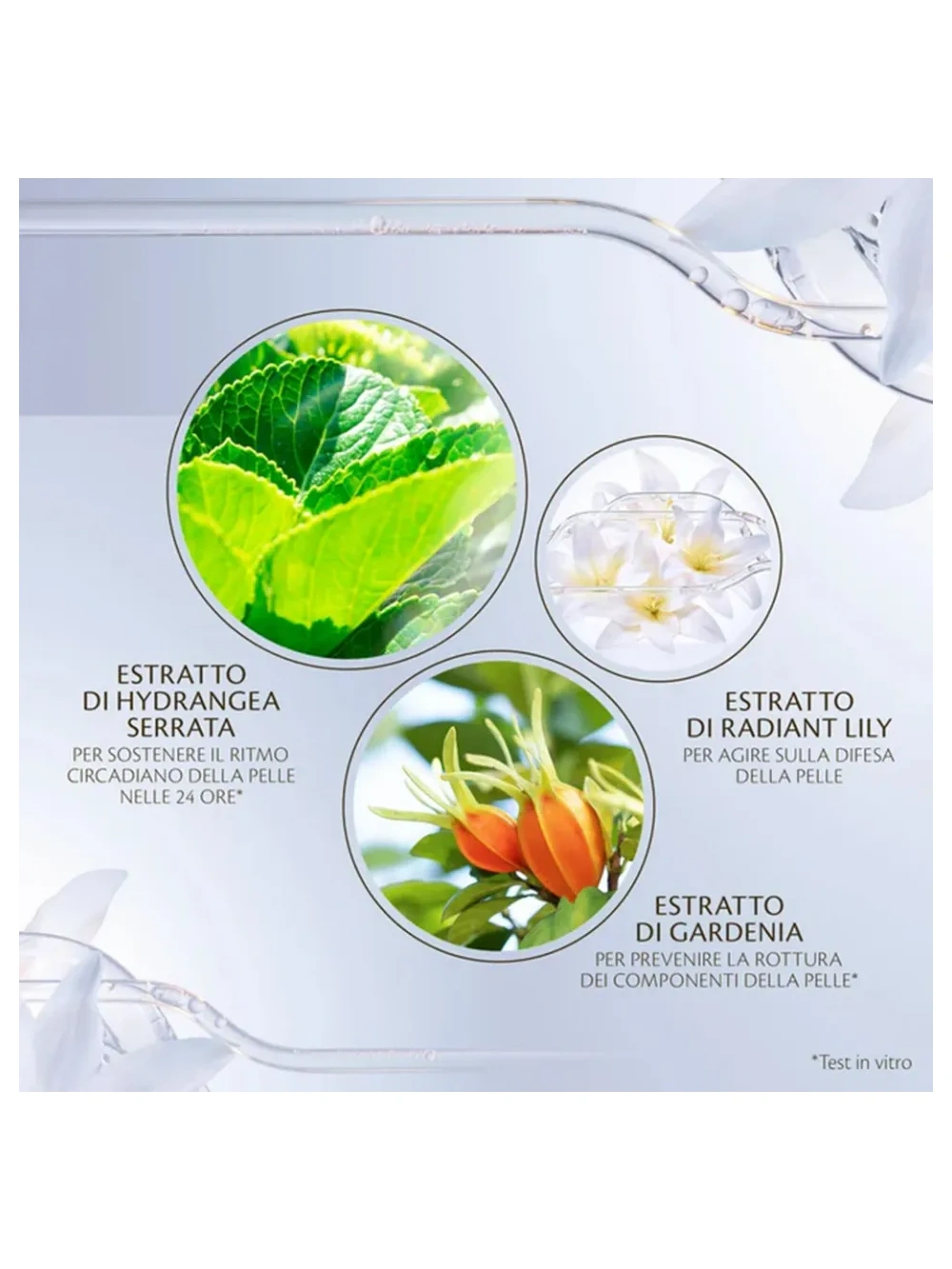 Key Radiance Care Advanced Protective Cream Crema viso giorno idratante